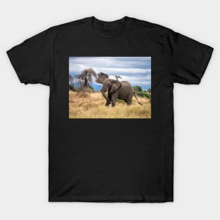 Elephant Waving At The Camera, Tarangire National Park, Tanzania T-Shirt